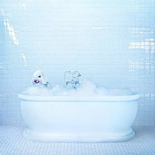 Produktbild: FUELED BY RAMEN/ATLA Vessel 26155456