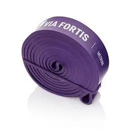 Produktbild: VIA FORTIS Premium Resistance Bands + Übungsanleitung und Tasche - Widerstandsbänder/Klimmzugband und Klimmzughilfe/Fitnessband/Trainings-Bänder für Fitness & Krafttraining