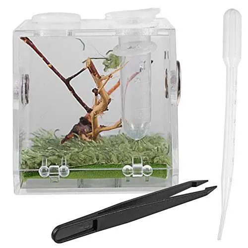 Produktbild: VILLCASE Acryl Reptile Fütterungsbox, Springspinne Terrarium, Transparentes Spinnen Terrarium Mit Pipette & Zange, Platzsparende Insekten Transportbox für Sprungspinnen Und Kleine Haustiere