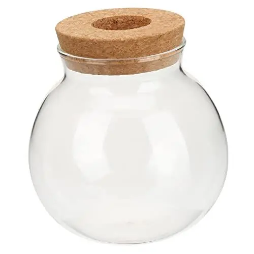 Produktbild: VILLFUL Hydroponische Glasflasche Vermehrungsvase Ausbreitungsstationen Terrarium-kit Monstera-Pflanze Glasvase Desktop Pflanzenterrarium Topfpflanze Holz Wasserbehälter Esstisch