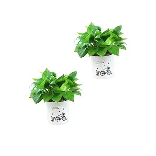 Produktbild: VINTORKY Selbstbewässerndes Blumentopf-Set Wasserspeichertopf Große Kapazität für Sukkulenten Pflanzenhalter Einfach Zu Bedienen