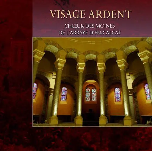 Produktbild: VISAGE ARDENT