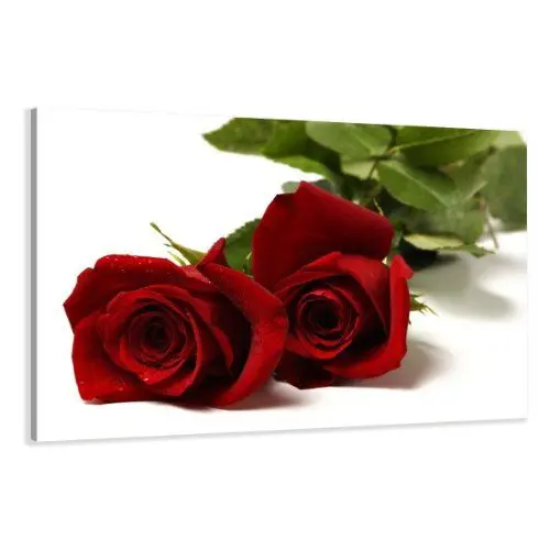 Produktbild: Visario Bild auf Leinwand Rose Rot 120 x 80 cm Modell-Nr. XXL 5095 Bilder fertig gerahmt auf echtem Holzrahmen riesig. Ausführung Kunstdruck als Wandbild auf Rahmen.