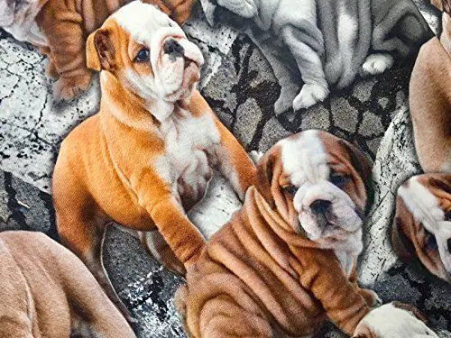 Produktbild: Viskose-Stoff mit Elasthan und Lycra, 4-Wege-dehnbar, mit Hundemotiv „Mürrische Bulldogge“, Tiermotiv, englische Bulldogge, amerikanischer Boxer, Meterware