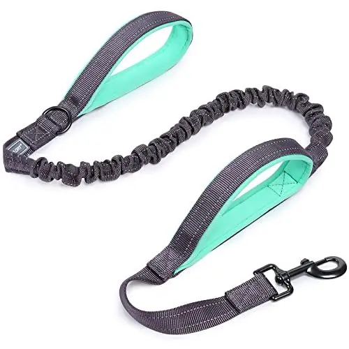 Produktbild: VIVAGLORY Hundeleine Pullsafe Bungee Leine Hund, Führleine Hundeleine mit Doppelgriff & Zwei Griffen für Hausleine Joggingleine, Bungee & Stark Ziehende für Hunde, 120 x 2.5cm, Grau