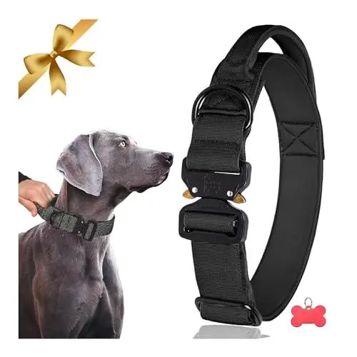 Produktbild: Vivi Bear Taktisches Hundehalsband für Große mit Kontrollgriff, aus Nylon, gepolstert, Metallschnalle, Verstellbar Halsband Hund Neopren Gepolstert für Jagd Training Freizeit Outdoor, Schwarz, L