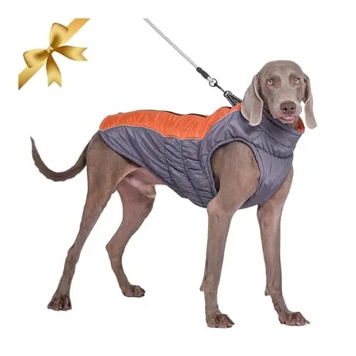 Produktbild: Vivi Bear Wasserdichter Hundemantel Winter Warme Hundejacke, Hundebekleidung Outfit für Mittel Große Hunde, Hundeweste Skibekleidung mit Sicheren Reflexstreifen und D-Ring, Orange XL