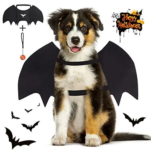 Produktbild: Vivifying Fledermausflügel Hund, Halloween Hundekostüm Fledermaus Flügel mit Kürbisglocke, Einstellbar Fledermaus Flügel Cosplay Dekoration(Hals: 12,6-20,5 Zoll/Brustumfang: 13,5-24,4 Zoll)