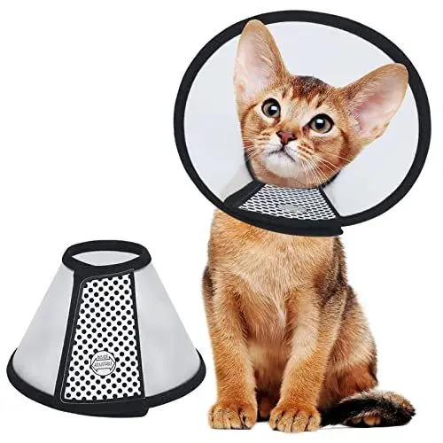 Produktbild: Vivifying Halskrause Katze, 18,2-22,8cm Leichter Kunststoff Elisabethanischer Kragen für Katzen, Kleine Hunde und Kaninchen (Schwarz-M)