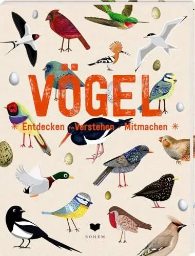 Produktbild: VÖGEL: Entdecken - Verstehen - Mitmachen