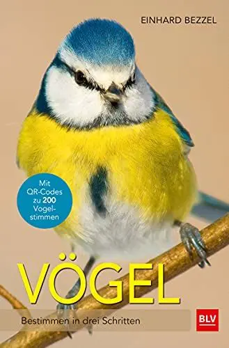 Produktbild: Vögel: Bestimmen in drei Schritten (BLV Vögel)