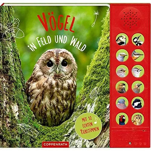 Produktbild: Vögel in Feld und Wald: Mit 12 echten Tierstimmen