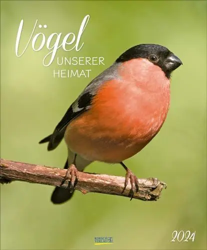 Produktbild: Vögel unserer Heimat 2024: Wandkalender groß. Fotokunst-Kalender mit Bildern von Vögeln in der heimischen Natur. 45,5 x 55 cm