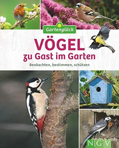 Produktbild: Vögel zu Gast im Garten: Beobachten, bestimmen, schützen