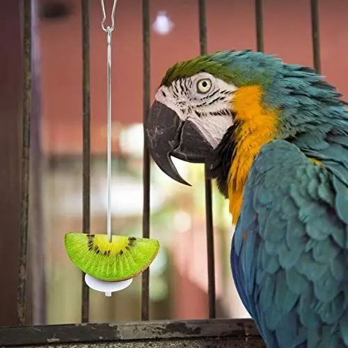 Produktbild: Qcwwy Vogelfutterzubehör, Vogelbewässerungszubehör, Vogelfutterspender, Haustier, Kleiner Vogel, Papageienfutterhalter, Vogelkäfigzubehör, Gemüse-Hängespieß, Futterspender, Spielzeug