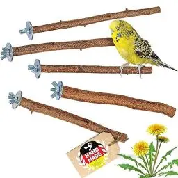 Produktbild: Vogelgaleria® 5 herrliche Natur Sitzstangen für Vögel wie Wellensittich, Nymphensittich, Kanarienvogel, Agaporniden | Naturholzstangen für den Vogel als wichtiges Vogelzubehör im Vogelkäfig | Zubehör