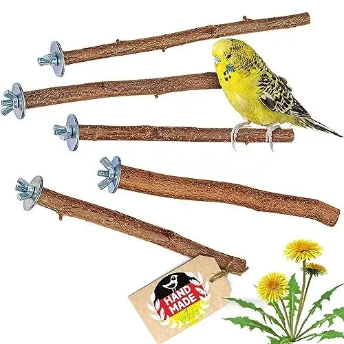 Produktbild: Vogelgaleria® 5 herrliche Natur Sitzstangen für Vögel wie Wellensittich, Nymphensittich, Kanarienvogel, Agaporniden | Naturholzstangen für den Vogel als wichtiges Vogelzubehör im Vogelkäfig | Zubehör