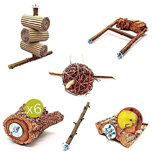 Produktbild: Vogelgaleria® 6 teiliges Schredder und Knabber Set für Vögel | Basisausstattung für Vogelhalter | Wellensittich Spielzeug | Vogelspielzeug Nymphensittich