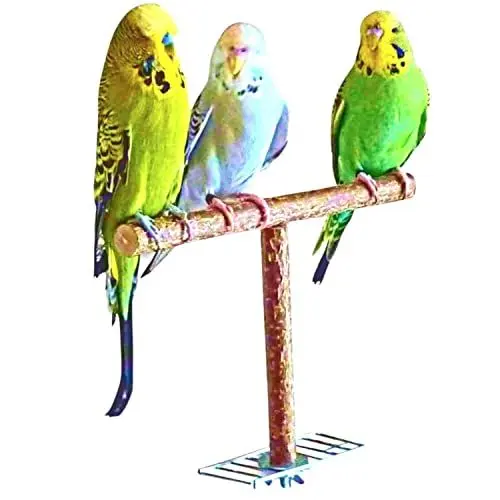 Produktbild: Vogelgaleria® Anflughilfe/Anflugstange für den Vogelkäfig oder die Voliere. Tolles, handgemachtes Vogelzubehör aus bestem Naturholz