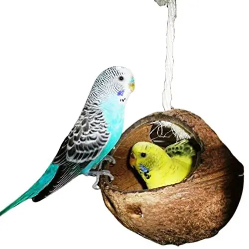 Produktbild: Vogelgaleria® Schaukel für Wellensittich & Nymphensittich | Vogelschaukel Kokosnuss | Wellensittich Zubehör