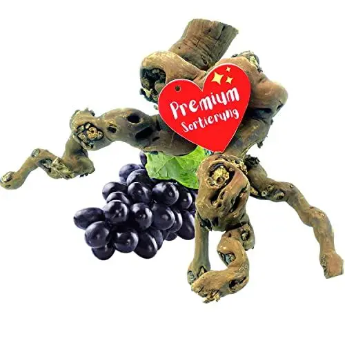 Produktbild: Vogelgaleria® Weinrebe Wurzel für Terrarium - extra handverlesene Unikate, schonend gereinigt & holzwurmfrei - Terrarium Deko f. Schlangen, Gecko, Schildkröten