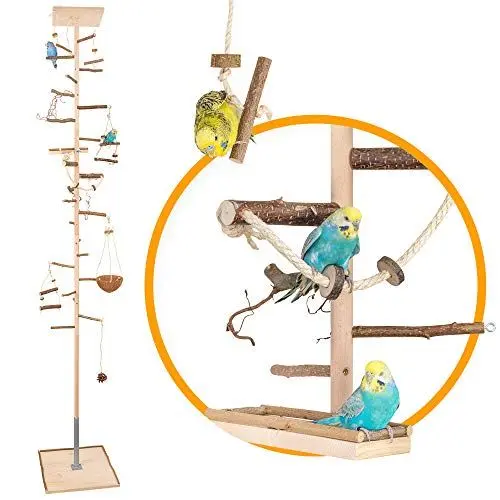 Produktbild: Vogelgaleria® Zimmerhoher Vogel-Kletterbaum 250-252 cm HiFly Medio mit Naturholz-Sitzstangen, Vogelspielzeug Vogelschaukel Vogelspielplatz Freisitz Freiflug Landeplatz für Wellensittich Nymphensittich