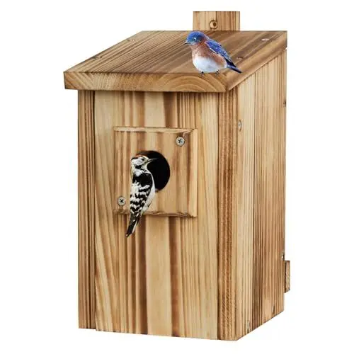 Produktbild: Vogelhaus aus Holz, hängendes Vogelnest für draußen - Schutz vor Raubtieren - geeignet für Rotkehlchen, Finken und Meisen - Vogelfutterhaus für den Garten