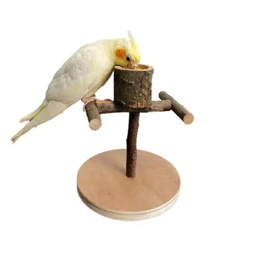 Produktbild: Vogelspielplatz, Vogel Sitzstangen, Papageien Spielplatz Mit Futtertasse, Naturholz Vogel Ständer, Tragbar Vogel Trainingsständer, Für Kleine Sittiche, Nymphensittiche, Wellensittiche