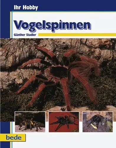 Produktbild: Vogelspinnen, Ihr Hobby