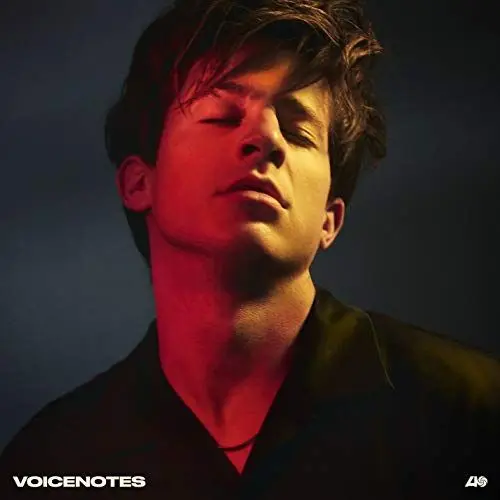Produktbild: Voicenotes
