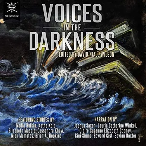 Produktbild: Voices in the Darkness