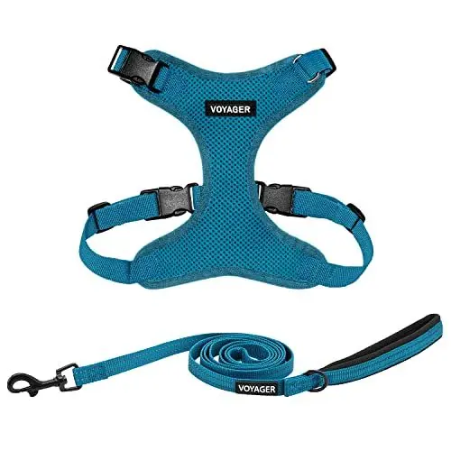 Produktbild: Voyager Step-In Lock Hundegeschirr mit reflektierender Hundeleine, Kombi-Set mit Neopren-Griff, 1,5 m – unterstützt kleine, mittelgroße und große Rassen, Welpen/Katzen von Best Pet Supplies - Türkis,