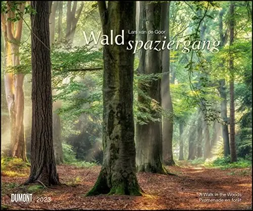 Produktbild: Waldspaziergang 2023 – Fotokunst-Kalender – Querformat 60 x 50 cm – Spiralbindung