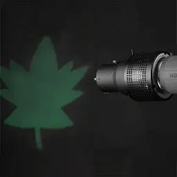 Produktbild: Walimex Universal Projektionsvorsatz für Electra Small