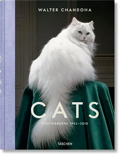 Produktbild: Walter Chandoha. Cats. Photographs 1942–2018