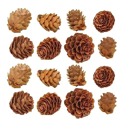 Produktbild: Warmhm 100 Stück Weihnachts-Tannenzapfen-Dekoration Hölzerne Tannenzapfen-Ornamente Kreative Tannenzapfen-Foto-Requisite Zum Basteln Für Weihnachten Urlaub Party Heimdekoration