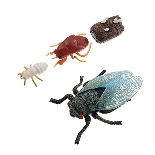 Produktbild: Warmhm Realistische Display-Modelle 4 Stück Simulation Wachstumszyklus Ornamente Kinder Spielzeug