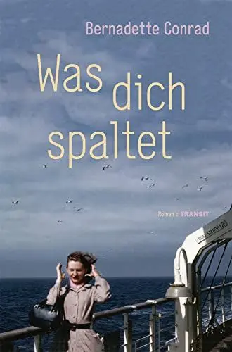 Produktbild: Was dich spaltet: Roman