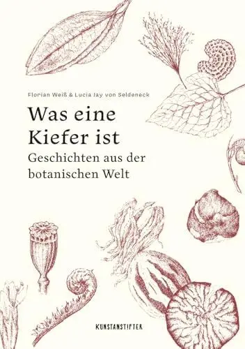Produktbild: Was eine Kiefer ist: Geschichten aus der botanischen Welt