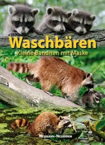 Produktbild: Waschbären: Kleine Banditen mit Maske