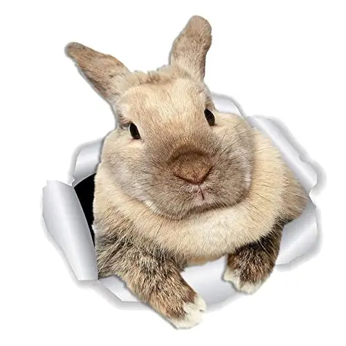 Produktbild: WATIIFUFU 1 Blatt Wandtattoo Kaninchen 3d Diy Wandtattoo Tiere Aufkleber Wandtattoo Ostern Tier Schmücken Kinderzimmer Dekoration 3d Wandtattoos Aufkleber Vorhanden 3d-cartoon-aufkleber Pvc