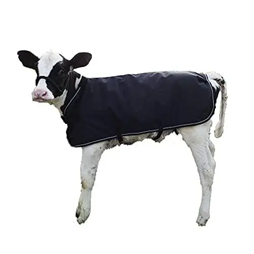 Produktbild: Weatherbeeta Calf Coat - Black