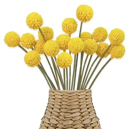 Produktbild: Wekuw 18 Stücke Billy Bälle Kunstblumen, Trockenblumen, Craspedia Globosa Getrocknete Blumen, Künstliche Blumen, Senfgelb Deko für Hochzeit Party Tischdeko Fotografie Requisiten Dekoration
