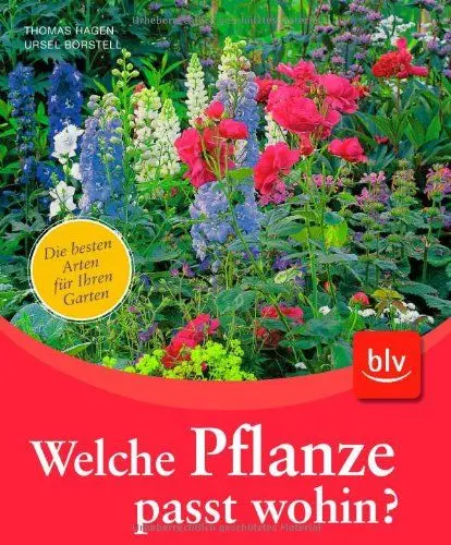 Produktbild: Welche Pflanze passt wohin?