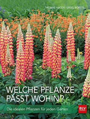 Produktbild: Welche Pflanze passt wohin?: Ideale Pflanzen für jeden Standort (BLV Pflanzenpraxis)