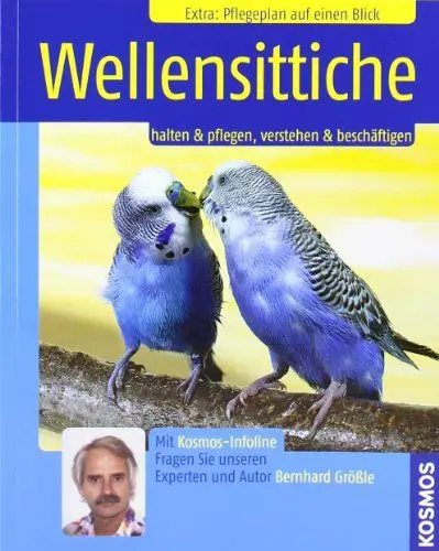 Produktbild: Wellensittiche: Halten & pflegen, verstehen & beschäftigen