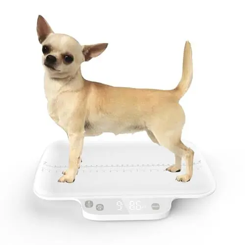 Produktbild: Welpenwaage für Kleintiere, mit Haltefunktion, Genauigkeit 1 g/0,035 oz, max. 15 kg/33,06 lbs, geeignet für neugeborene Haustiere, Kätzchen, Chihuahua, Katzen