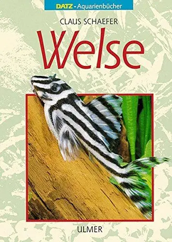 Produktbild: Welse (DATZ-Aquarienbücher)