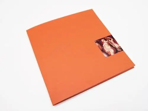 Produktbild: WERKDRUCK No. 42 - Anastasia Chernyavsky: Reprint Edition (Vevais Werkdruck, Band 42)