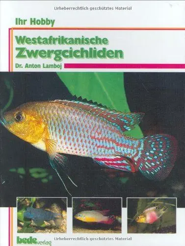 Produktbild: Westafrikanische Zwergcichliden, Ihr Hobby